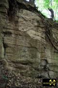 Steinbruch am Schlossberg bei Bornstedt, Sachsen-Anhalt, (D) (13) 28. Juni 2015 (Unteres Quarzitkonglomerat - Hornberg-Formation).JPG